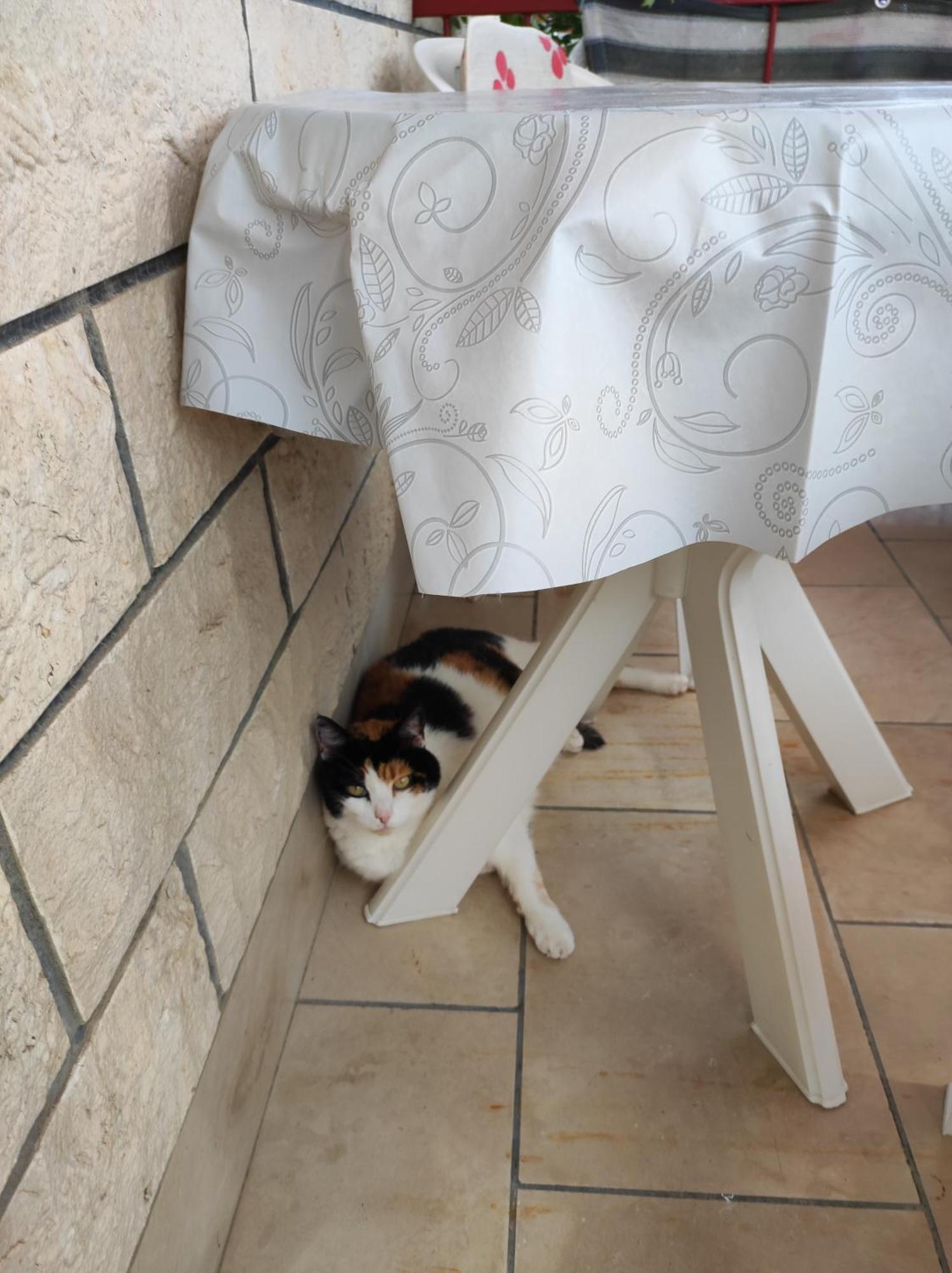 Apartmani Valentino Makarska Buitenkant foto